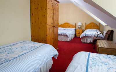 North County House B&B Listowel Family Room